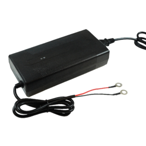 10A 14.6V Charger