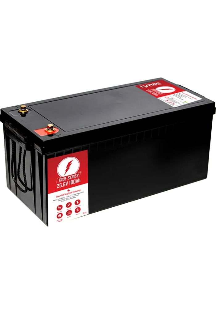 25.6V 100Ah TrueSeries-BH LFP battery